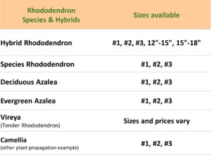 pricing update